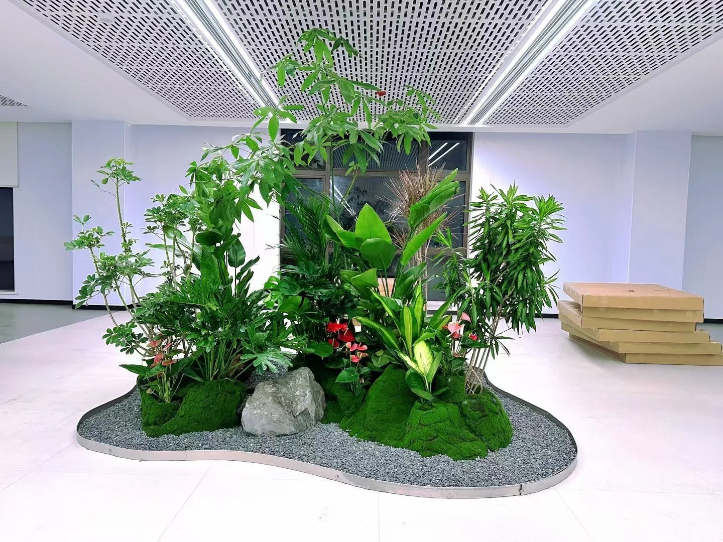 为何宁波镇海人都爱绿植出租?秘密在这里!